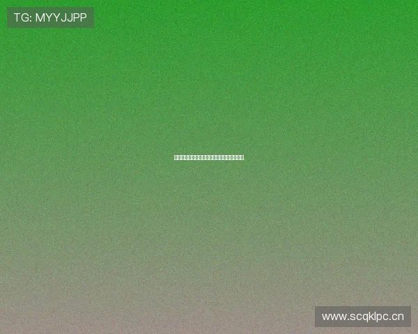 黑白世界中的竞技魅力与体育精神的极致展现